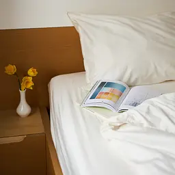 Наволочка MBM HOME Крига під сонцем 50x75см BL-P-21 крижаний (BL-P-21 ICE) - мініатюра 7