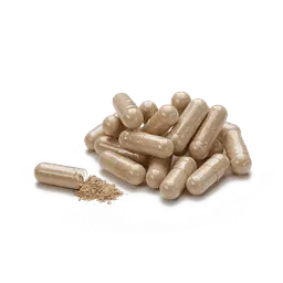 Вайлд Ям НСП, 100 капсул | Wild Yam NSP - мініатюра 2