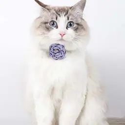 Нашийник для котів Kitty, прикрашений милою квіткою Фіолетовий - мініатюра 2