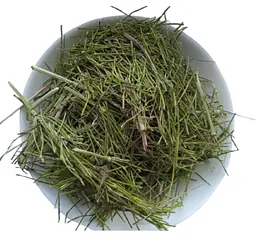 Хвощ польовий Трава Equisetum arvense - мініатюра 1