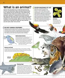 Knowledge Encyclopedia Animal! - мініатюра 2