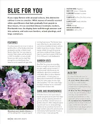 Grow Roses. Essential Know-how and Expert Advice for Gardening Success - мініатюра 11