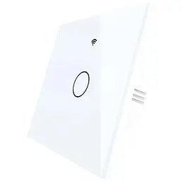 Настінний сенсорний перемикач WiFi RF433 Smart Light однополюсний 220 В