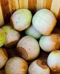 Саджанець Agro-Market Фундук Каталонський (перехресне запилення, садити по 2 шт) (43006) 1 шт. в упаковці - мініатюра 3