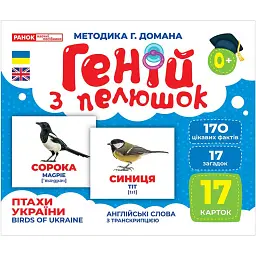 Птахи України. Геній з пелюшок - - мініатюра 1