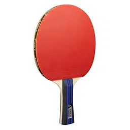 Набір для настільного тенісу Joola Family Advanced 4 Bats 6 Balls (54823) - мініатюра 2