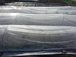 Агроволокно Greentex p-50, 3,2x100 м (30896) - мініатюра 2