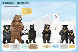Ведмежа книга - Кейті Віґґерс (Z104052У) - мініатюра 2