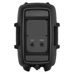 Пассивная акустическая система BIG JB10L250 8Ohm - мініатюра 3