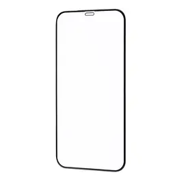 Захисне скло FULL SCREEN HQ iPhone 12/12 Pro без упаковки (black)