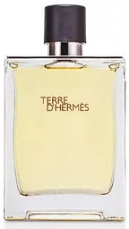 Туалетна вода Terre d' Eau De Toilette 100 ml - мініатюра 2