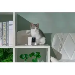 Камера відеоспостереження за домашніми тваринами Petcube Cam CC10US [87035] - мініатюра 5