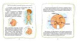Енциклопедії для допитливих. Малечі про інтимні речі - Юлія Ярмоленко (9789669358394) - мініатюра 3
