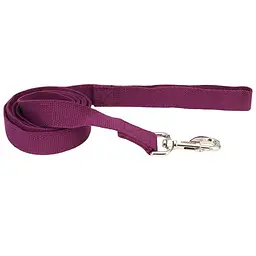 Повідець для собак Coastal New Earth Soy Dog Leash 2.5см х 1.83 м фіолетовий соєвий еко