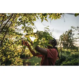 Площинний секатор Fiskars Solid P321 (1057162) - мініатюра 7