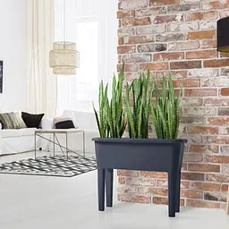 Горщик для рослин Prosperplast Respana Planter Set у вигляді грядки з кришкою 52 л сірий (DREP770-S433) - мініатюра 4