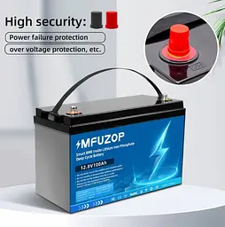 Акумулятор MFUZOP LiFePO4 12,8 V 100 Ah (2104618904) - мініатюра 5