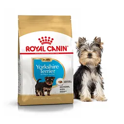 Сухий корм для цуценят йоркширських тер'єрів Royal Canin Yorkshire Terrier Puppy 500 г 39720051