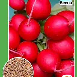 Редис "Ранній врожай" (Новий пакет) ТМ "Весна" 2г (24632)
