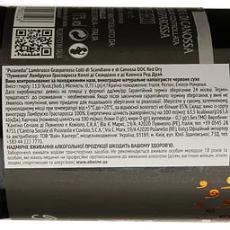 Вино ігристе Puianello Lambrusco Grasparossa Colli di Scandiano e di Canossa червоне сухе 0.75 л - мініатюра 4