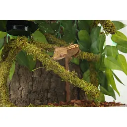 Ліана гнучка з натуральним мохом для тераріуму Repti-Zoo Artificial Moss Vine 2см x 2м (RV0220) - мініатюра 13