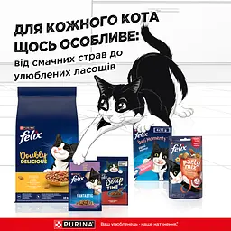 Сухий корм Felix Doubly Delicious для дорослих котів з куркою, індичкою та буряком 10 кг - мініатюра 11