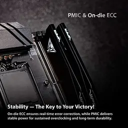 Модуль пам'яті для комп'ютера DDR5 32GB (2x16GB) 6000 MHz Viper Elite 5 Ultra Patriot (VEU532G6028K) - мініатюра 9