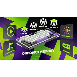 Клавіатура Hator Hellyberry HK75 Mechanical Linear RGB Wireless/Bluetooth/USB UA White/Violet (HK75_wireless) - мініатюра 2