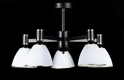 Люстра стельова Splendid Ray LGH50230A/5, 5 ламп, E27, 32 см, чорний, білий, золотий, метал, скло, сучасний стиль для дому