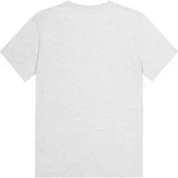 Футболка Picture Organic Jecko Grey Melange XL (1012-MTS1139B-XL) - мініатюра 2
