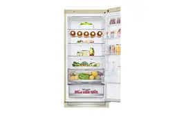 Холодильник LG GW-B509SEDZ203см 2 дв холодильне відділення 277 л морозильне відділення 107 л A++ NF Лін Зона свіжий Диспл зовнішній Бежевий (GW-B509SEDZ) - мініатюра 9