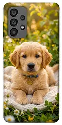 TPU чохол Demsky Small labradore для Samsung Galaxy A73 5G