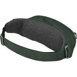 Сумка на пояс Osprey Daylite Waist Green Belt/Green Canopy - мініатюра 3