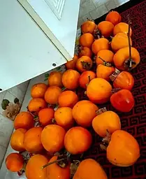 Саджанець Agro-Market Хурма на віргінській морозостійкій підщепі Мідер вищий сорт! (21382) 1 шт. в упаковці - мініатюра 3