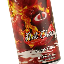 Пиво Forever Hot Cherry темне нефільтроване 0.5 л - мініатюра 5