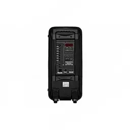 Акустична система XPRO GT-6068 Bluetooth FM-радіо караоке (GT-6068_5759) - мініатюра 2