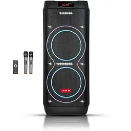 Акустична переносна колонка ZXX-5560 2x10" TWS/FM/USB/TF/BT/REC/LED/2MIC/ДУ 100Вт бездротова колонка