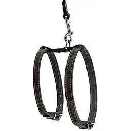 Шлея для собак з повідцем Collar, шкіра, для міні порід, 27-35х35-45х1,4 см/122 см, чорний (5471) - мініатюра 2