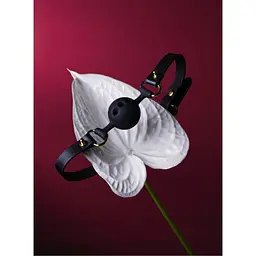 Кляп із силікону та італійської шкіри Breathable Small Ball Gag Upko - мініатюра 2
