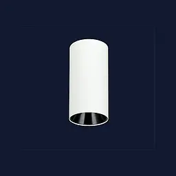 Світильник Levistella 90580COB-10W WH-BK