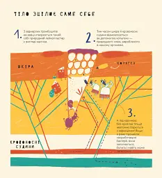 Книжка про вавки - Маріона Толоса Сістере - мініатюра 6