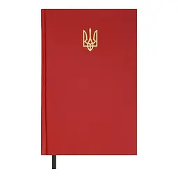 Щоденник недатований А5 червоний 320 сторінок лінія білий папір тверда обкладинка балакрон AIRY BM.20731-05 Buromax - мініатюра 1