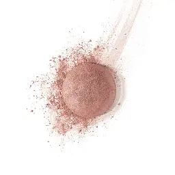 Рум'яна Bourjois Blush 85 2.5 г (8000018024417) - мініатюра 2