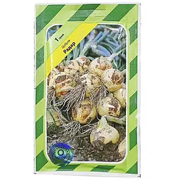 Цибуля Радар, 1 г, Агропакгруп