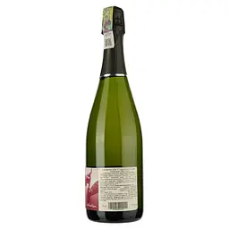 Шампанське Pierre Trichet L'Authentique Brut Champagne Premier Cru AOC біле брют 0.75 л - мініатюра 2