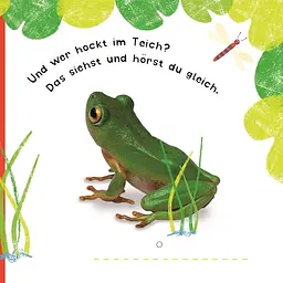 Klang-Klappenbuch. Tiere - мініатюра 3