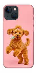 TPU чохол Demsky Happy poodle для Apple iPhone 13 mini (5.4")