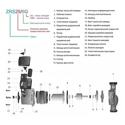 Циркуляційний насос Zegor ZRS25/6GB-130 з гайками і кабелем 30412 - мініатюра 3