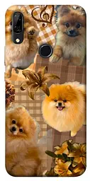TPU чохол Demsky Spitz aethtetic для Huawei P Smart Z