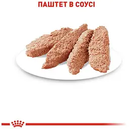 Набір вологого корму для дорослих кішок Royal Canin Instinctive Loaf паштет 1.02 кг (12 шт. х 85 г) - мініатюра 3